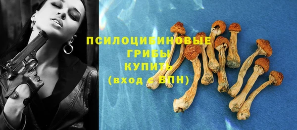 мяу мяу мука Кулебаки