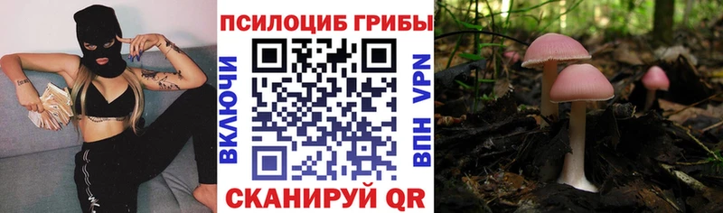 Псилоцибиновые грибы мухоморы  Купить  Окуловка 